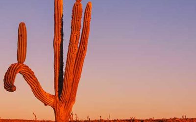 Grudge of the Week #1 : A Stitch-Up at Work