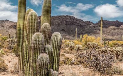 Grudge of the Week #2 : What Do I Want to be No Longer a Thing?