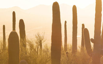 How to Grade Your Grudge